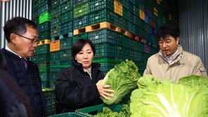 배추-무 가격 상승에…정부 “설 대비 물량 풀고 할인행사 지원”