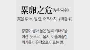 [신문과 놀자!/풀어쓰는 한자성어]累卵之危(누란지위)(묶을 루·누, 알 란, 어조사 지, 위태할 위)