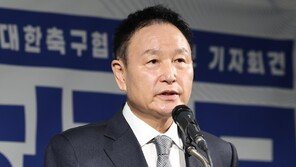 법원, 대한축구협회 회장 선거 금지 가처분 인용