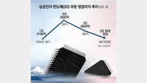 中 저가공세에 D램 시장침체 직격탄… “하반기 업황 개선 기대”