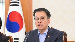 최 대행 “27일 임시공휴일 지정 검토…충분한 휴식·국내여행 촉진”