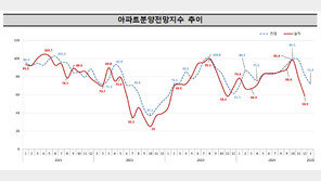 새해 첫 달 아파트 분양전망 대폭 악화…전월比 10.6p 하락