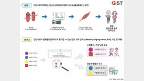 노화 늦추는 장내미생물 찾았다…“노인성 질환 개선 기대”