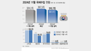 11월까지 나라살림 적자 81조원…목표치 못지킬듯