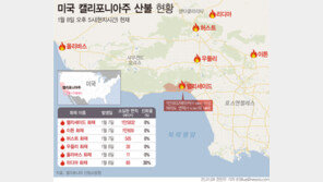 美 LA 산불 최소 5명 사망, 주민 13만 명 소개 명령…헐리우드 힐즈 인근까지 번져