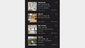 수수료 싼 ‘당근 앱’ 아파트 매매 급증… 법적 분쟁엔 취약
