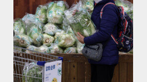 금배추에 사과·배 가격도 껑충…설 명절 물가 들썩