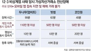 계엄일 접속 폭주에 ‘먹통’… 업비트-빗썸, 투자자에 35억 배상