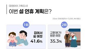 길어진 설 연휴, 5명중 2명 “고향보다 집에서 휴식”