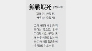 [신문과 놀자!/풀어쓰는 한자성어]鯨戰蝦死(경전하사)(고래 경, 싸움 전, 새우 하, 죽을 사)