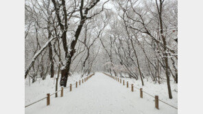 산청·함양·거창·합천 대설주의보…경남도, 비상대응1단계