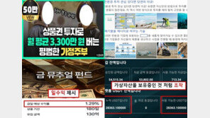 ‘월 3300만원 버는 주부’ 믿지 마세요…금감원, 35건 수사 의뢰