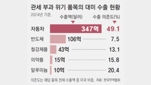 트럼프, 韓 수출 주력 車-반도체-의약품에도 추가 관세 예고