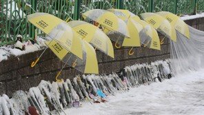 하늘양 살해 교사, 교육감 표창 등 9차례 수상…징계-민원은 없어