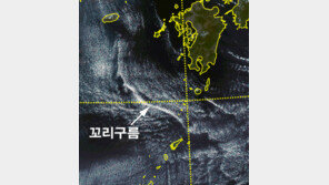위성이 포착한 신비…제주도 남부 1000㎞ 꼬리구름