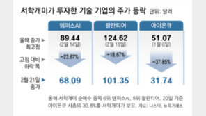 美 테크株 휘청… 서학개미 집중매수 ‘넥스트 엔비디아’도 급락