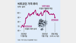 비트코인 추락, 테슬라도 급락… 약발 떨어진 ‘트럼프 트레이드’