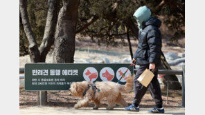 애견호텔 맡기고 안 찾아가도 ‘동물 유기’…벌금 최대 500만원