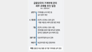 7월부터 전세대출 문턱 높이고, 1억미만 가계대출도 소득 본다