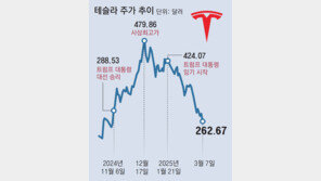 ‘머스크 리스크’에 퍼렇게 멍든 테슬라… 서학개미 “그래도 산다”