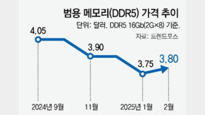 범용 반도체 가격 6개월만에 반등… “딥시크 등장에 수요 늘어”