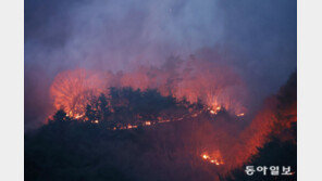 산불피해 1만4694㏊-인명피해 15명…의성 진화율 55%