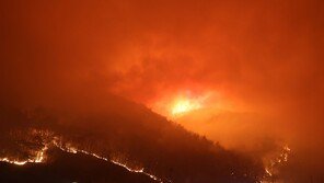 산소통도 없이… 펌프-갈퀴 들고 산불 진화 투입된 민간 대원들