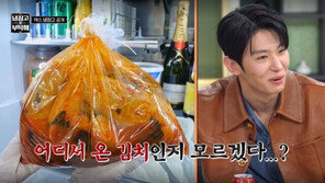 홍진경, 쓰레기봉투 김치 논란 “덱스 준적 없어”