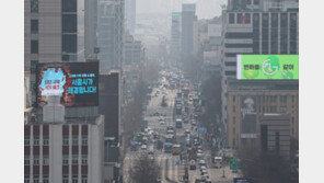 서울시, 초미세먼지 주의보 발령…“실외활동 자제”