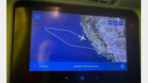 “기장이 여권 깜빡”…美여객기 2시간만에 황당 회항