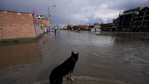 남미 볼리비아 폭우로 90개 도시에 재난지역 선포