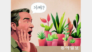 모조식물 유감… ‘빌려온 자연’에 대한 모욕이다[안드레스 솔라노 한국 블로그]