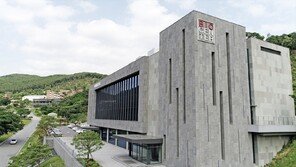 대웅제약 당뇨병 신약 엔블로, 멕시코 품목허가… 중남미 7개국 승인 확보