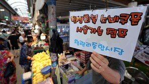 “손님 절반 가까이 소비쿠폰 사용”…북적이는 전통시장
