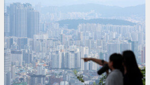 “한달새 호가 3억 하락”…대출 규제에 서울아파트 관망세 확산