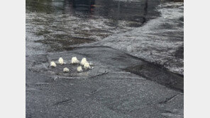 폭우 생존법…“도로에 기포 보이면 무조건 우회해야”[알쓸톡] 