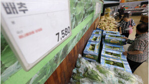 더위 먹고 폭우 맞은 물가… 한달새 시금치 78%-상추 30% 뛰어