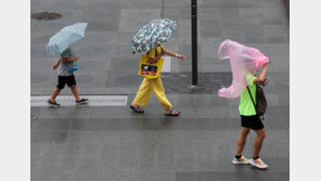 전국 대부분 천둥·번개 동반 비…수도권·강원 최대 150㎜