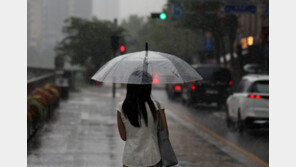 동쪽지역 중심 소나기…체감온도 31도 이상 ‘찜통더위’