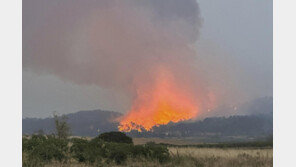 프랑스 남부 대형 산불…파리 1.5배 면적 불태웠다