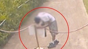 “스티커 흔적 남아” 문화재 훼손에 서경덕 교수 일침