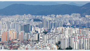 6·27대책 6주 만에 서울 집값 반등…“공급대책 필요”