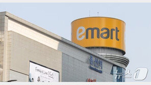 이마트, 기획·전략담당 임원 114억 배임 혐의로 고소… “개인돈 투자 관여 의혹도 제기”