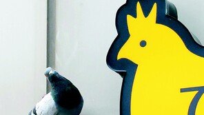 [고양이 눈]“친구야, 부럽다”