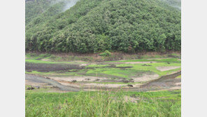 강릉 오봉저수지 저수율 25% ‘역대 최저’…재대본 비상 1단계 가동