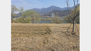 팔당호 인근… 촌캉스 즐기기에 ‘딱’