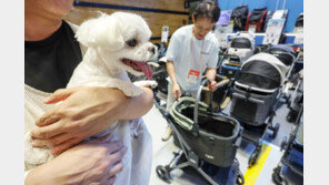 “개모차 신형으로 바꿔주세요”