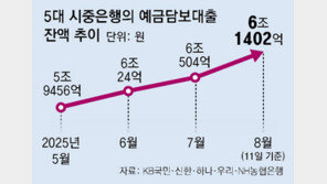 대출 막히자 ‘규제 빈틈’ 예금까지… 예담대 열흘새 900억 급증