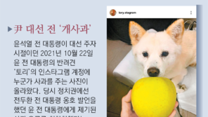 디올백 수수, 순방땐 비선 동행… 견제는 없고 尹은 감싸기