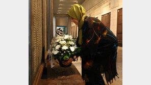 파트마 메리치 일마즈 튀르키예 적신월사 회장, 전쟁기념관 방문